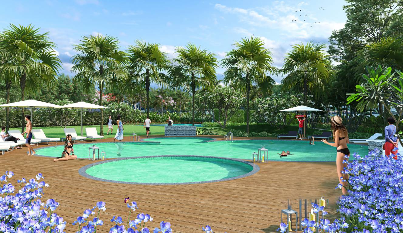  green leaf Swimming Pool