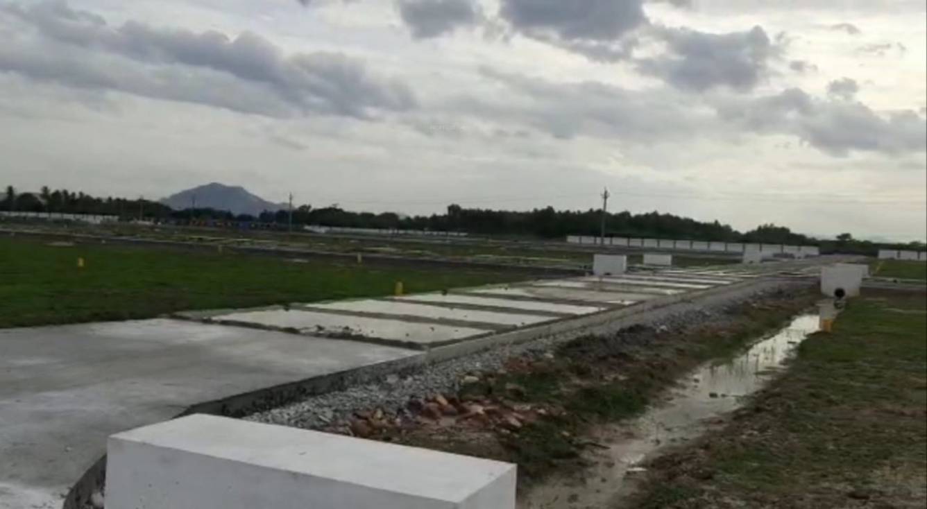  dollars colony 8 Plot