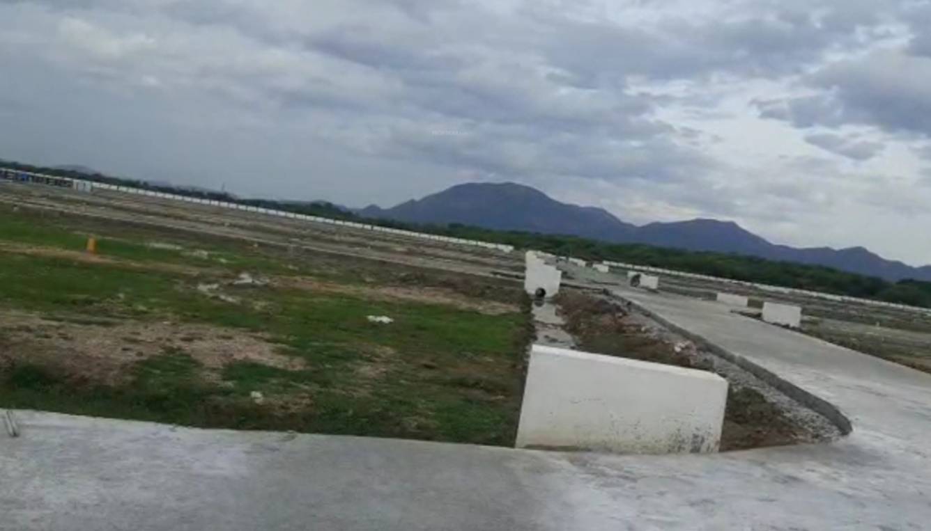  dollars colony 8 Plot