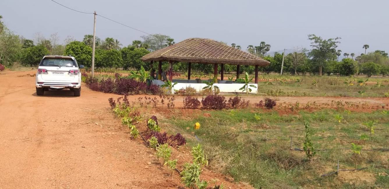 sai brindavanam malabarneem plantation Plot