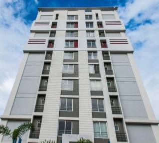 Elevation mandevilla Elevation