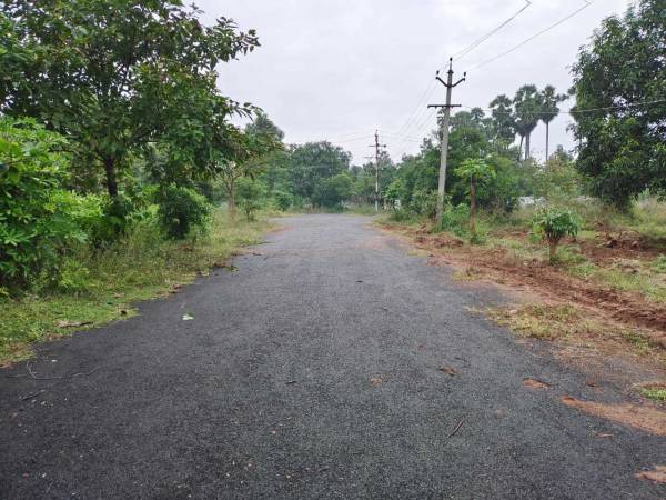  sri-vishnu-nagar Internal Roads