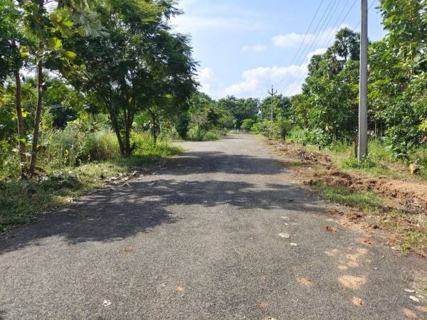 sri-vishnu-nagar Internal Roads