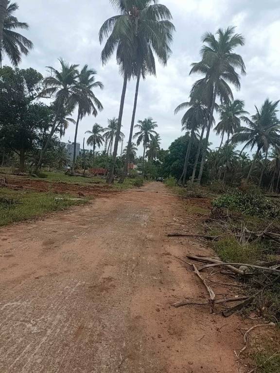  dr leelavathi garden Plot