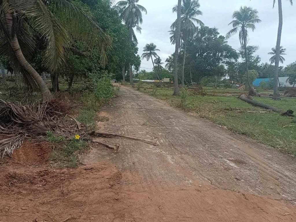  dr leelavathi garden Plot