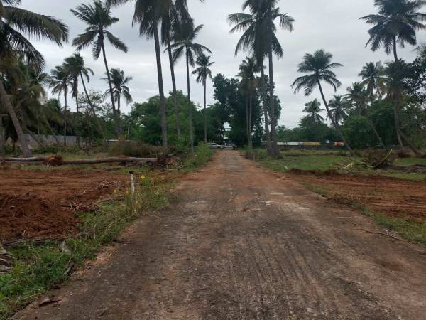  dr-leelavathi-garden Plot