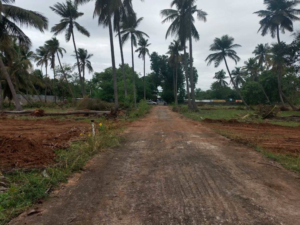  dr leelavathi garden Plot