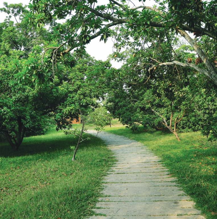 in that quiet earth phase 2b Others