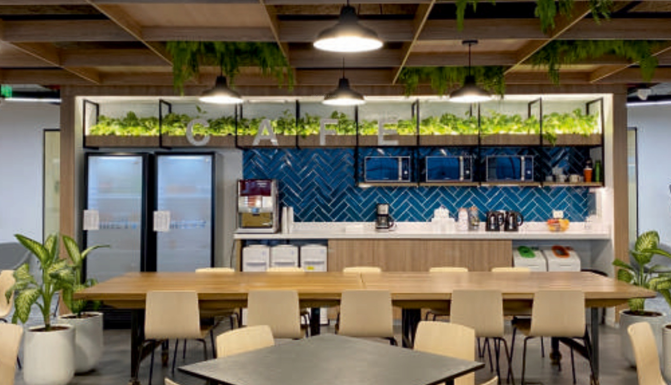  the palladium Cafeteria