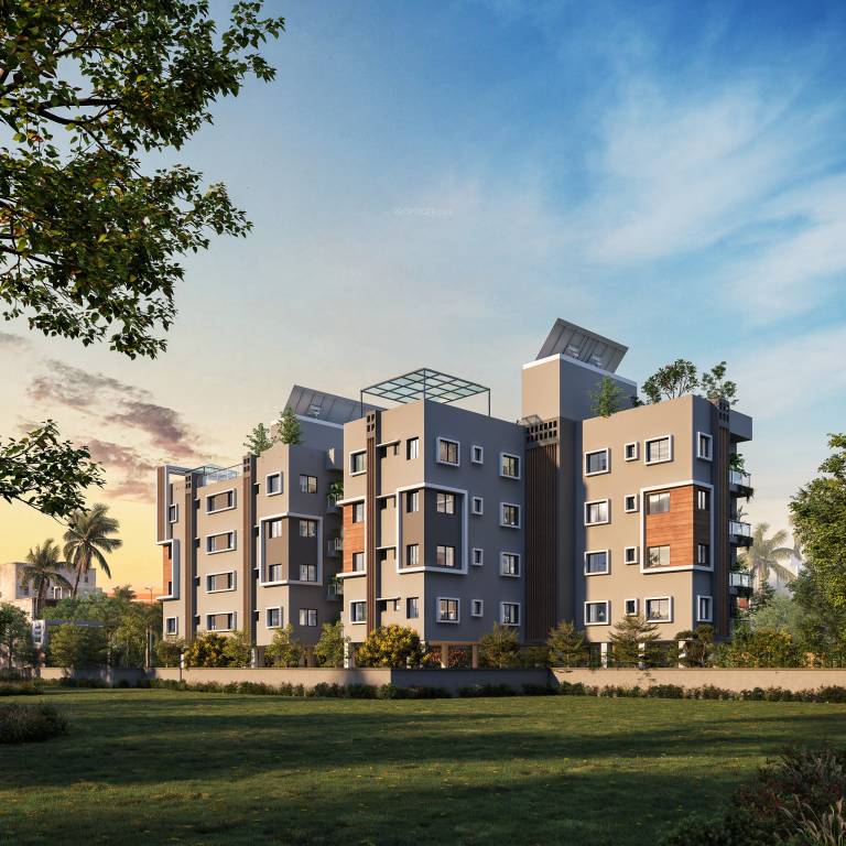  tolly view Elevation