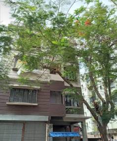 Elevation star-villa Elevation