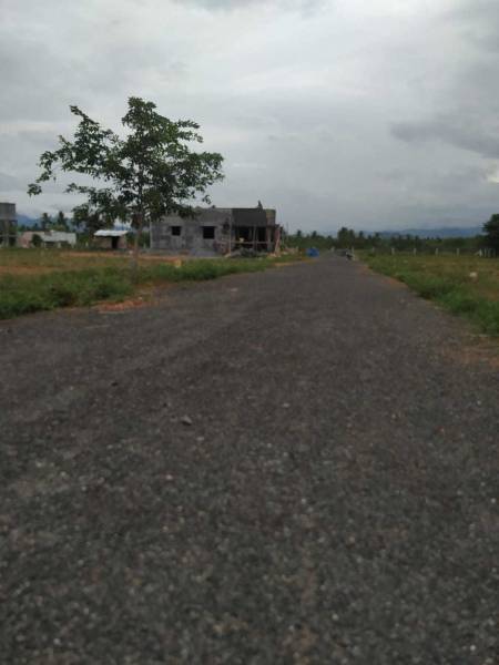 Internal Roads sa-garden Internal Roads