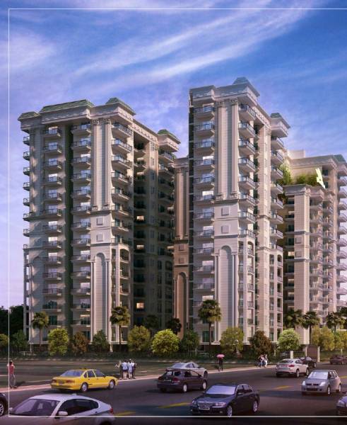  life-and-joy Elevation