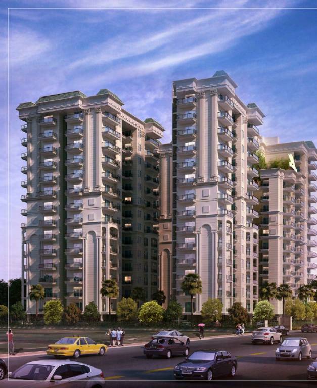  life and joy Elevation