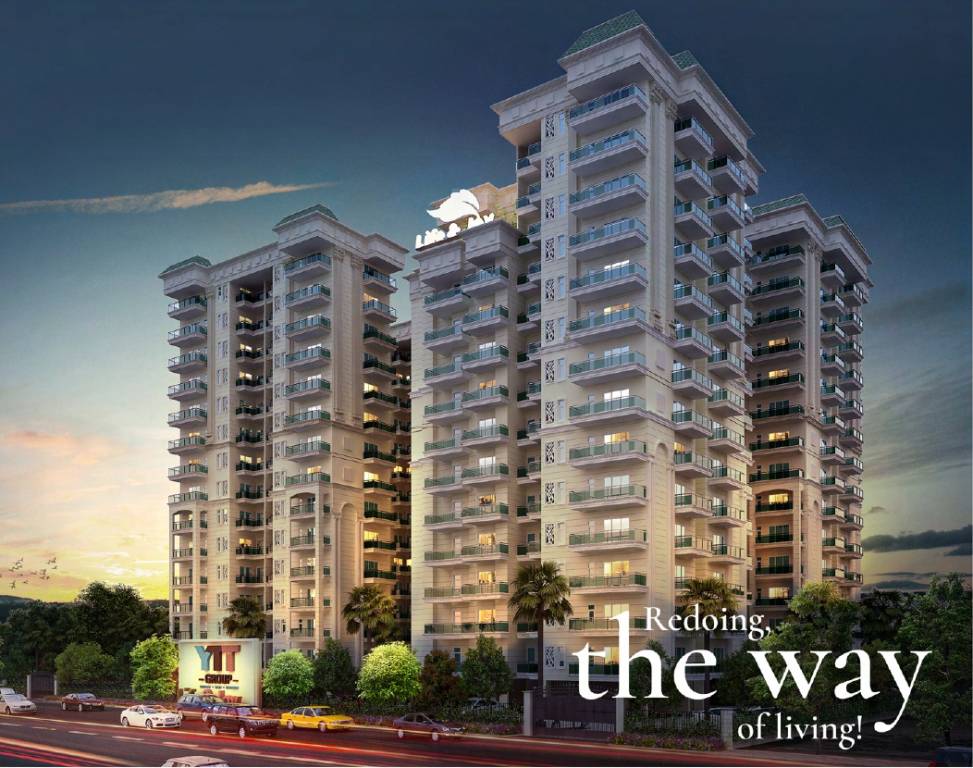  life and joy Elevation