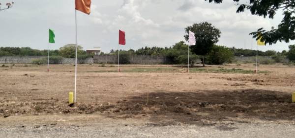  green-grove-farms Elevation