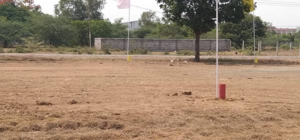  green-grove-farms Plot