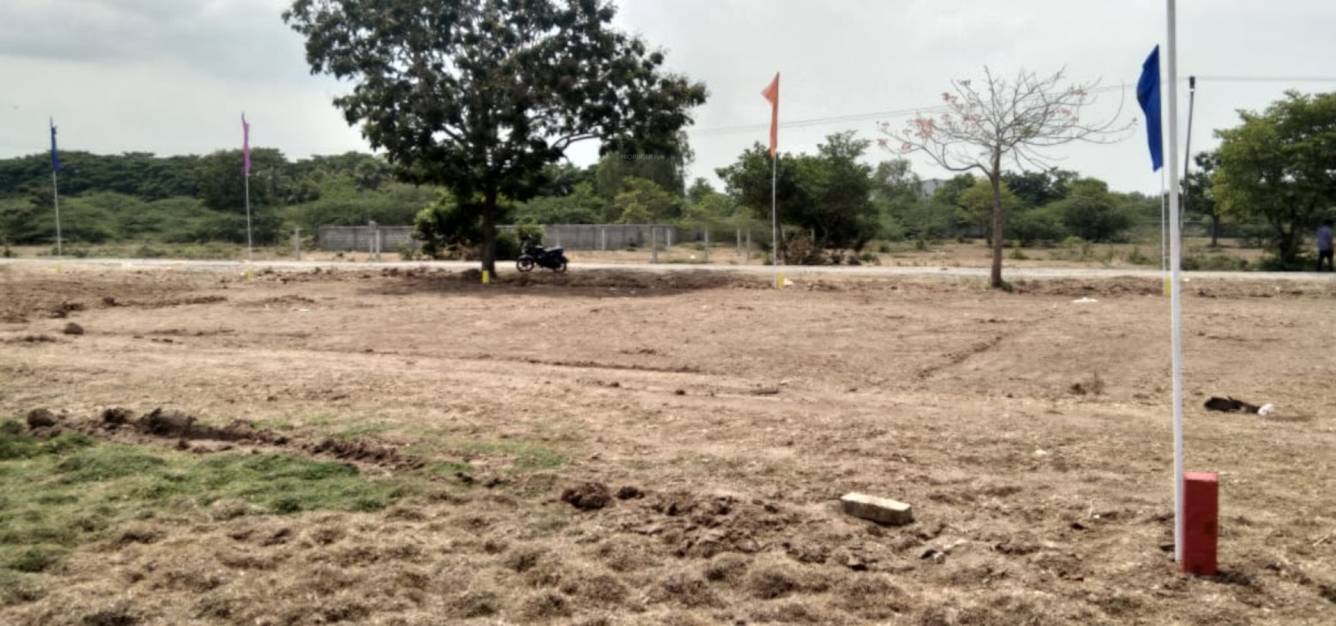  green grove farms Plot