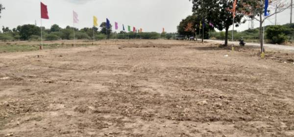  green-grove-farms Plot