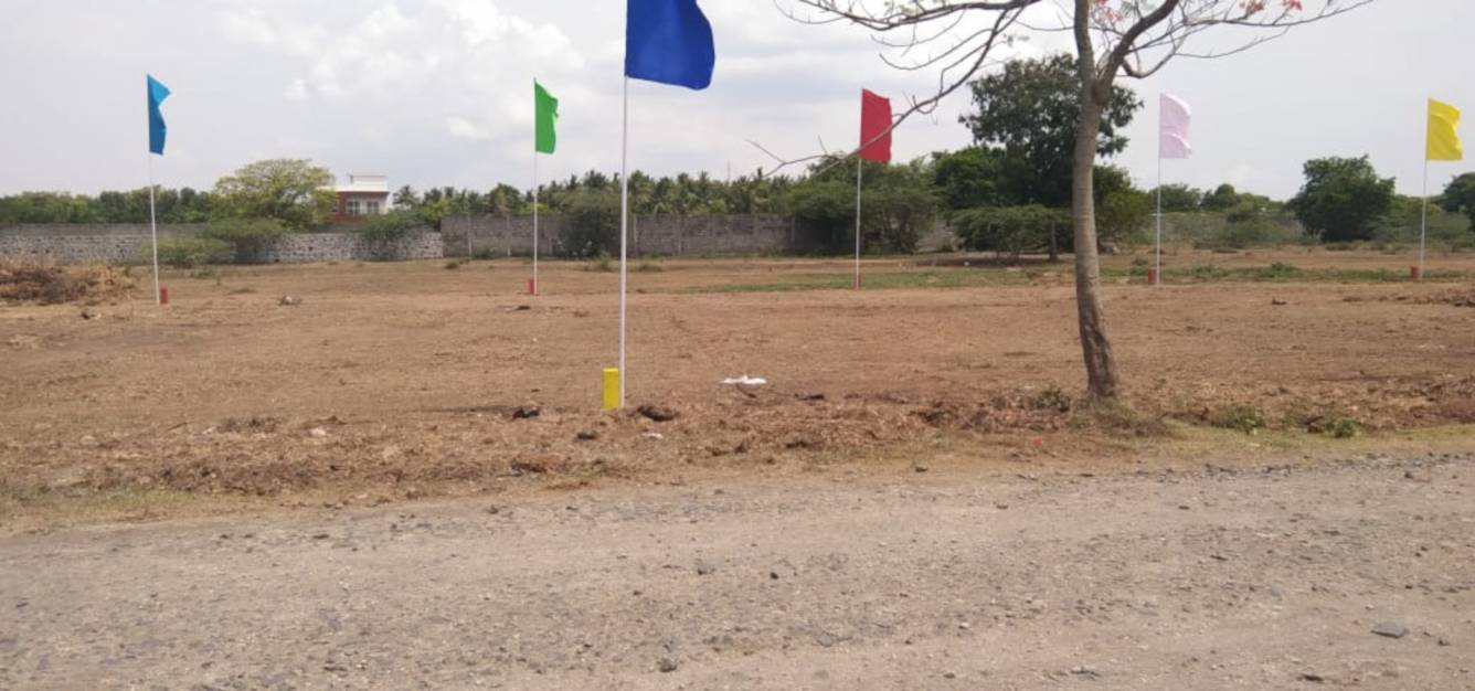  green grove farms Plot