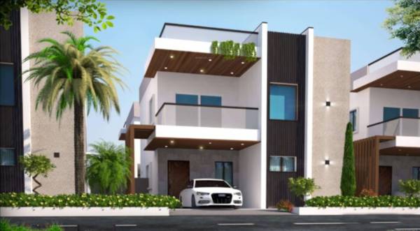 Elevation oak-woods Elevation