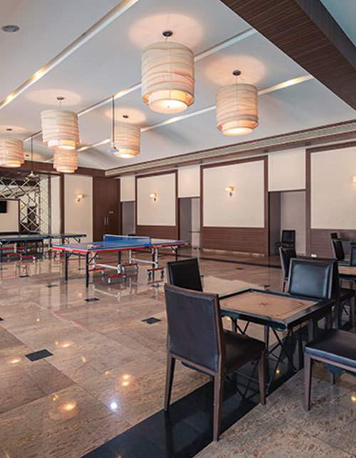  srishti Indoor Games