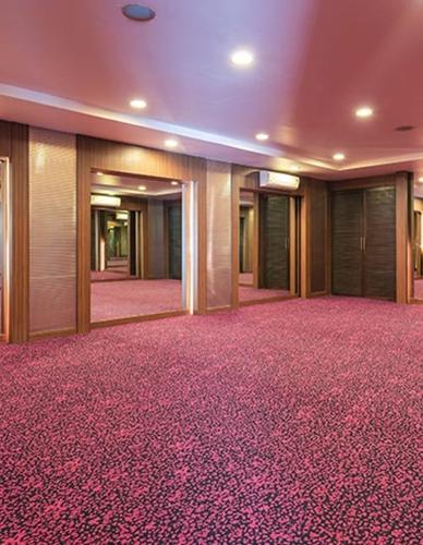  srishti Yoga/Meditation Area