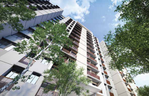 Elevation phase-1 Elevation