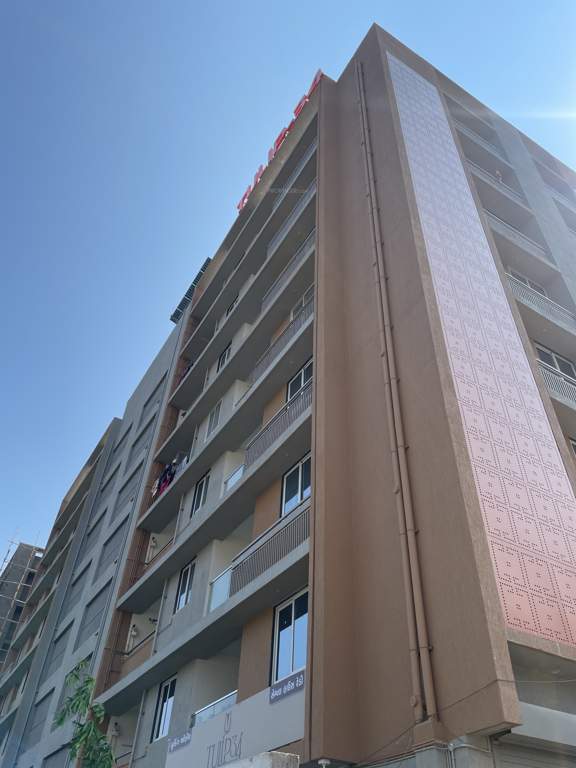  tulip 34 Tulip 34 Construction Status May 25