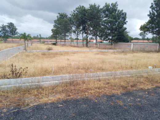 oak-garden-layout Elevation Elevation