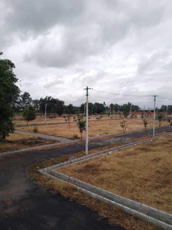  oak garden layout Plot