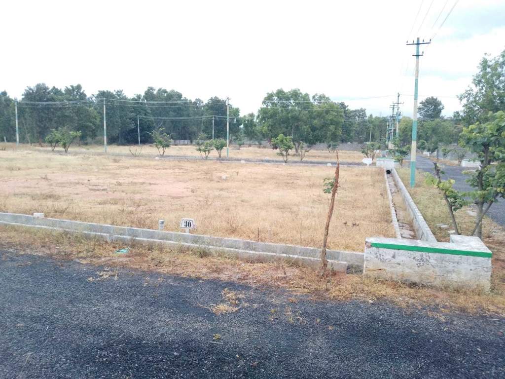  oak garden layout Plot