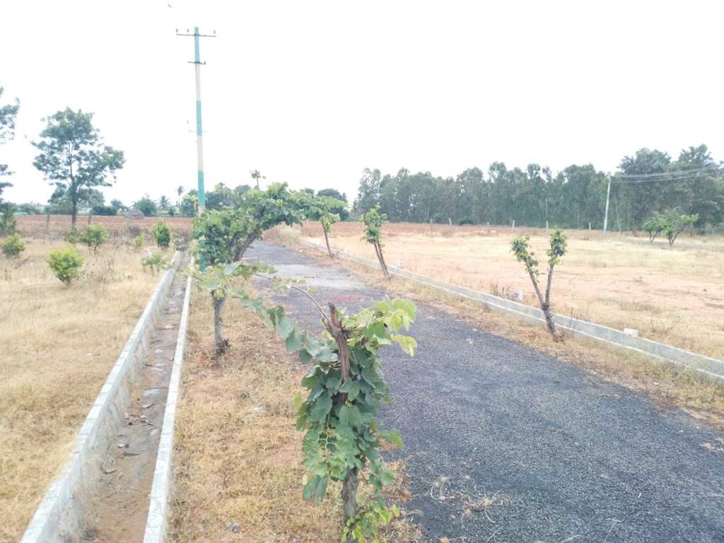  oak garden layout Plot