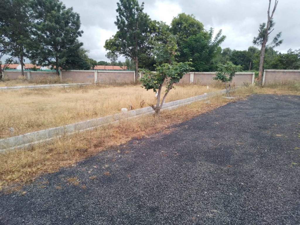  oak garden layout Plot