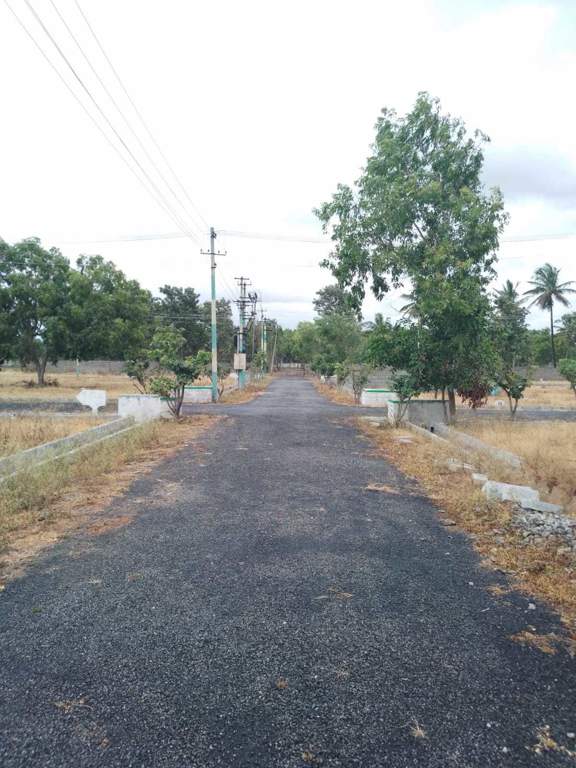  oak garden layout Plot