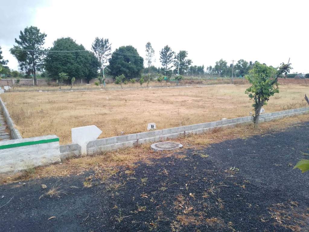  oak garden layout Plot