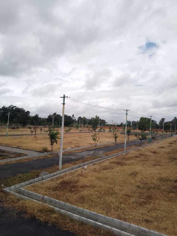  oak garden layout Plot