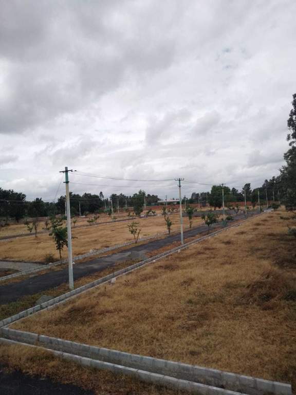  oak garden layout Plot