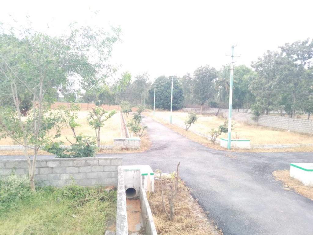  oak garden layout Plot