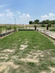 Project Image Project Image