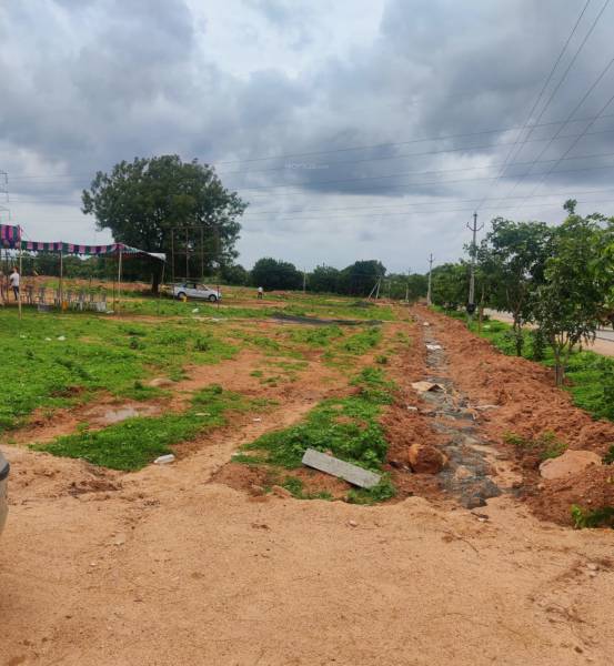  golden-dream-county Elevation