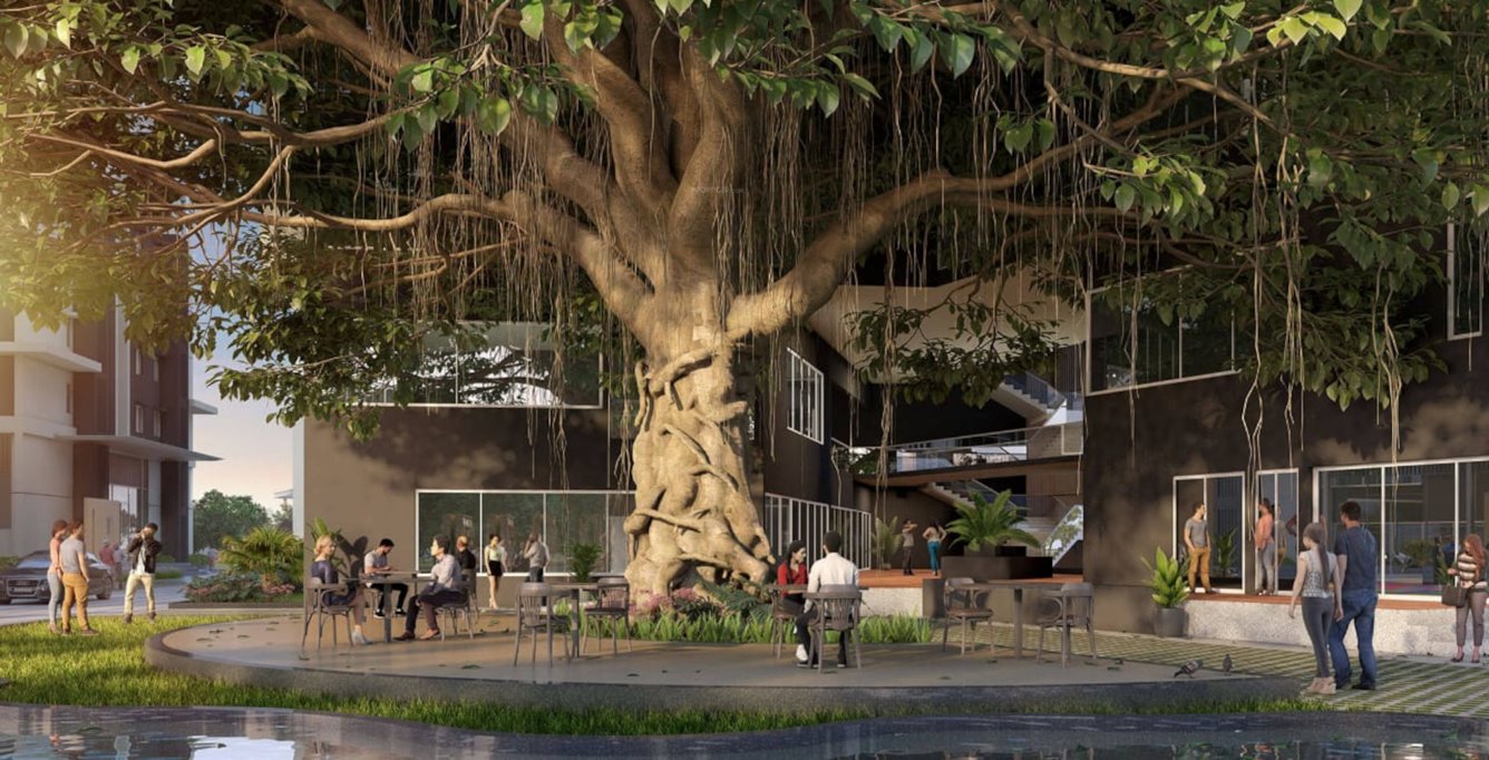  citadel phase 4 Landscape Garden and Tree Planting