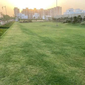  one-good-earth Elevation