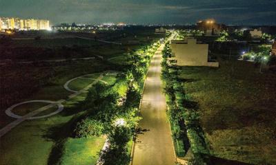  westerlies-phase-4 Landscape Garden and Tree Planting