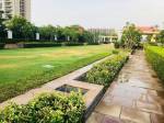  gardencity Landscape Garden and Tree Planting