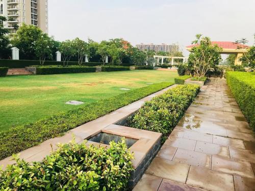  gardencity Landscape Garden and Tree Planting