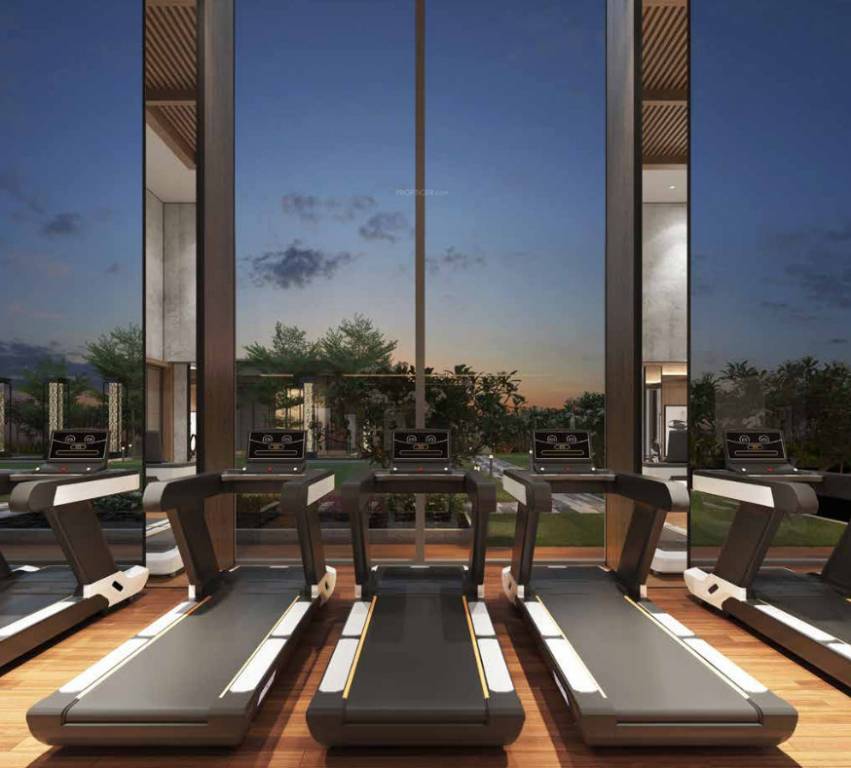  gallant west Gymnasium