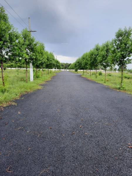 Plot emerald-avenue Plot