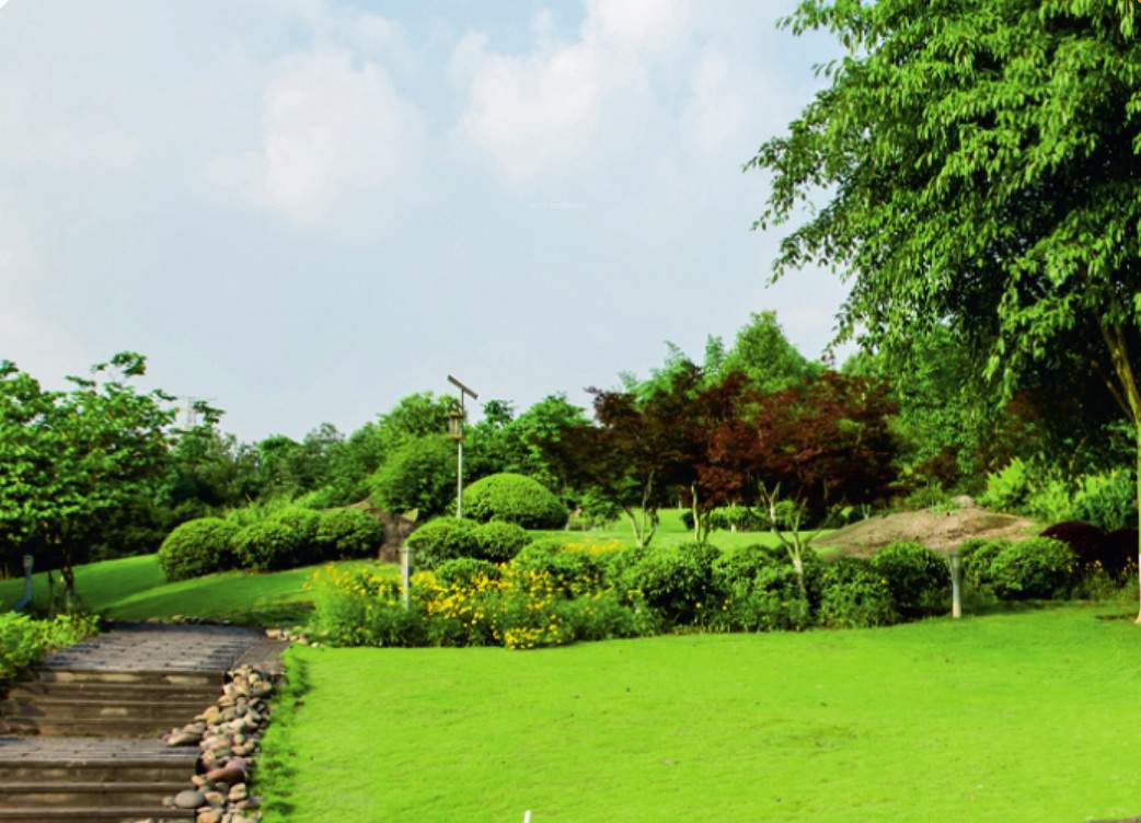  homes pataudi one Landscape Garden and Tree Planting