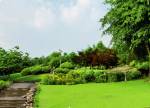Landscape Garden and Tree Planting  homes-pataudi-one Landscape Garden and Tree Planting